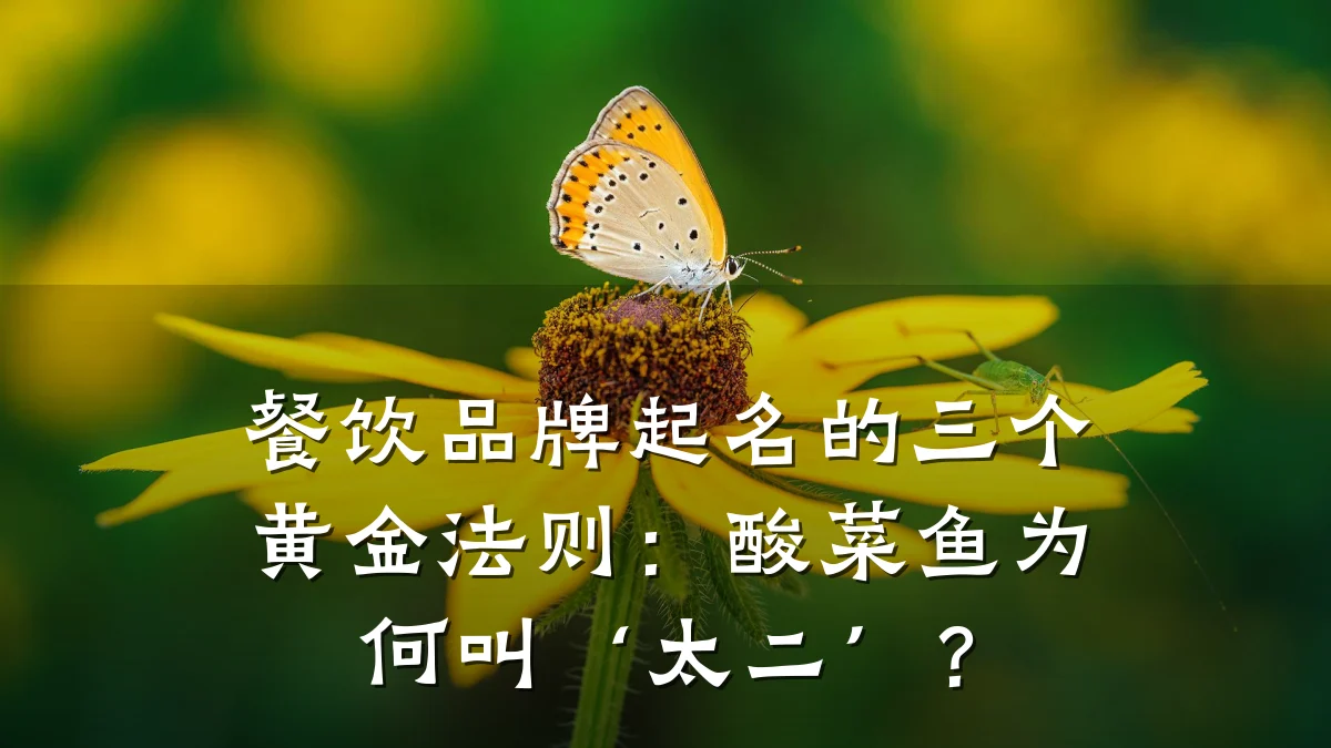 餐饮品牌起名的三个黄金法则:酸菜鱼为何叫‘太二’?