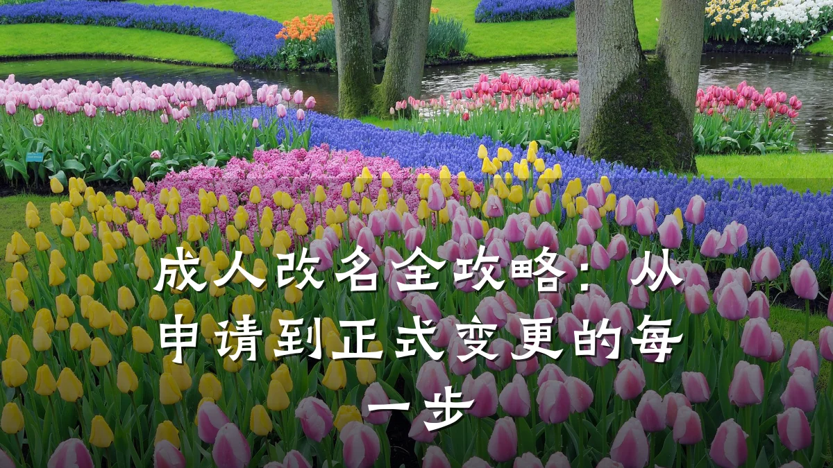 成人改名全攻略:从申请到正式变更的每一步