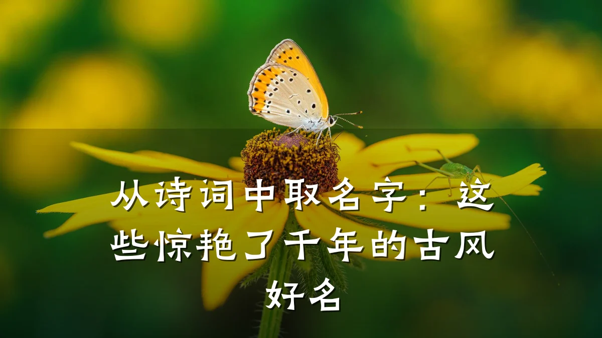 从诗词中取名字：这些惊艳了千年的古风好名