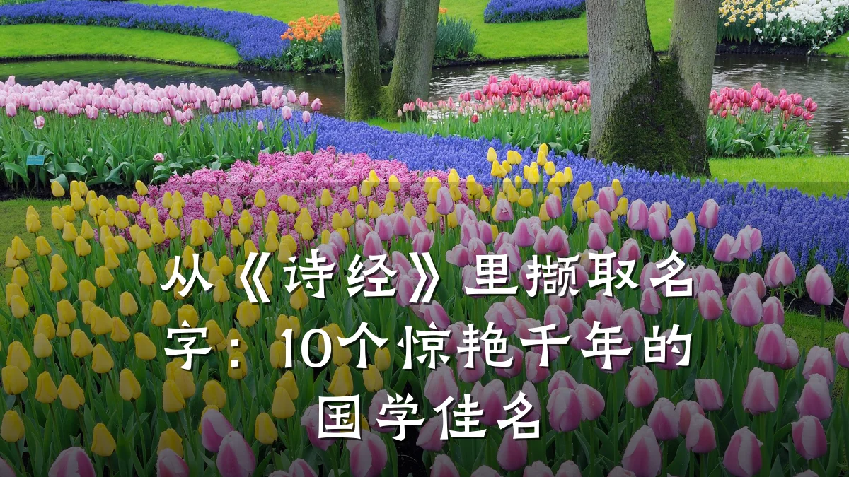 从《诗经》里撷取名字：10个惊艳千年的国学佳名