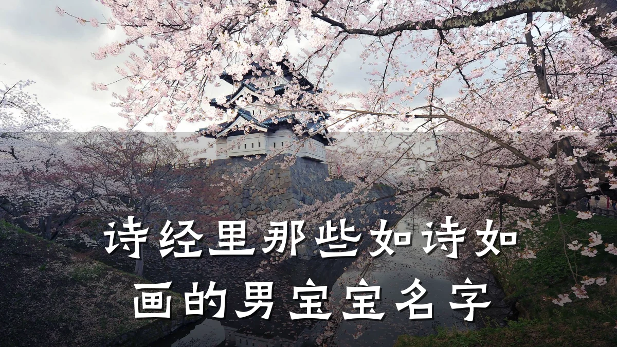 诗经里那些如诗如画的男宝宝名字